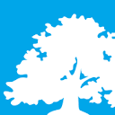 International Business School - IBS Hungary logo